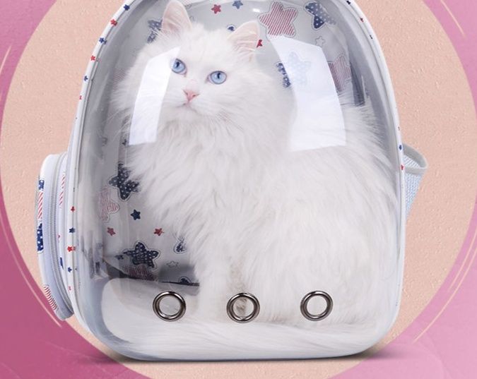 https://fulmo-img-server.com/carrineko/1782268438473_r2oam4js_docia030.jpeg