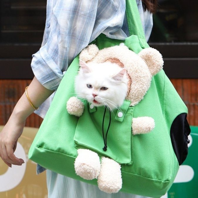 https://fulmo-img-server.com/carrineko/1783651520834_4e22ooqe_mf01nyb0.jpeg