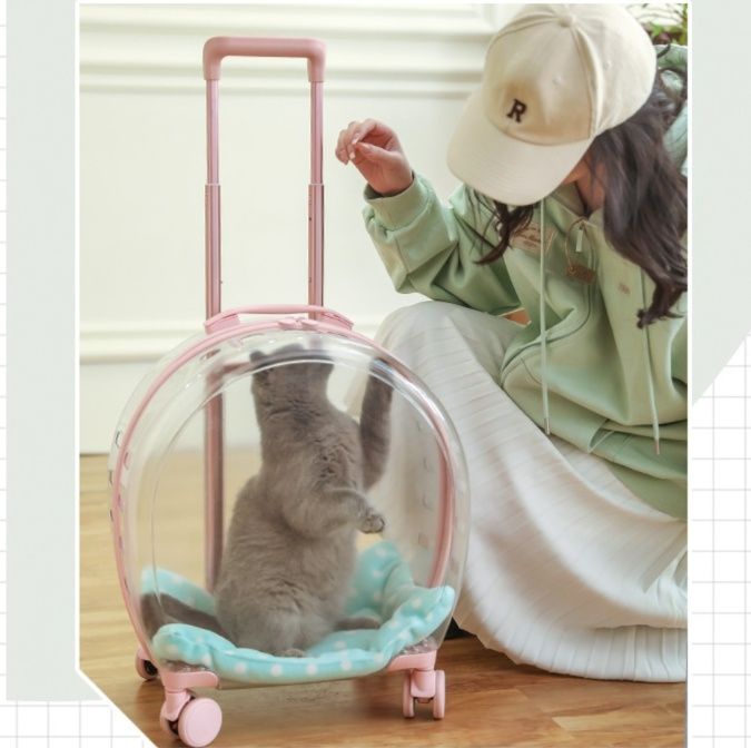 https://fulmo-img-server.com/carrineko/1783651963657_kzf57278_h1u9xb4t.jpeg
