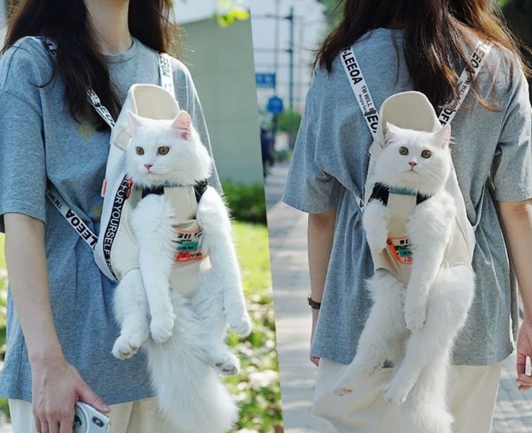 https://fulmo-img-server.com/carrineko/1783916795784_dbaiglyb_8u41tge0.jpeg
