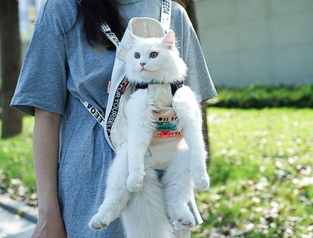 https://fulmo-img-server.com/carrineko/1783916979464_fegdm4lp_sxgv9wuw.jpeg