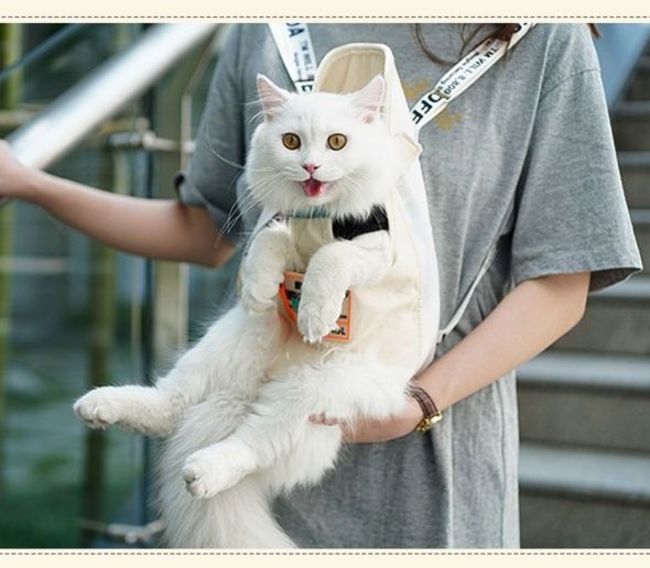 https://fulmo-img-server.com/carrineko/1783916999325_4ew74e24_1t3fkq98.jpeg