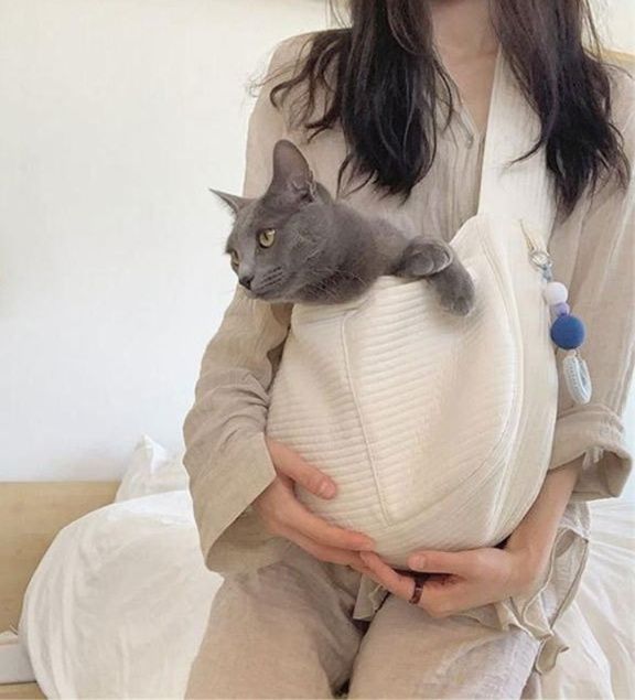  ふんわり抱っこショルダー猫キャリーバッグ