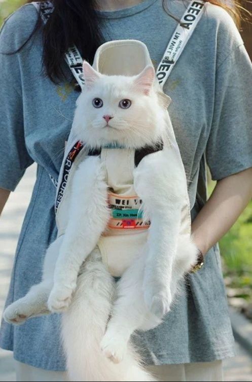 https://fulmo-img-server.com/carrineko/1783918767306_6dbwpg0r_v6950sem.jpeg