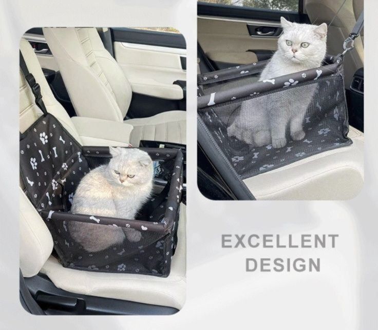https://fulmo-img-server.com/carrineko/1783923422253_3rkylsaq_5jyqm31b.jpeg