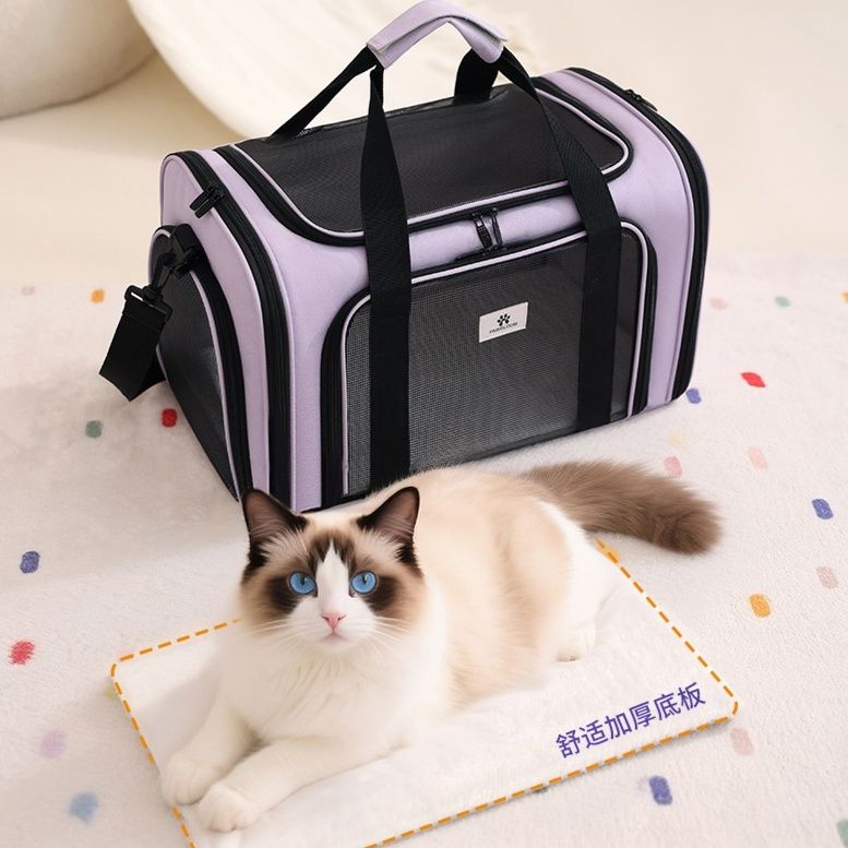 https://fulmo-img-server.com/carrineko/1785805773755_hrdzap2d_rsar66di.jpeg