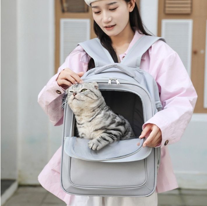 https://fulmo-img-server.com/carrineko/1785806911542_0u03mv0w_meb1hvjj.jpeg