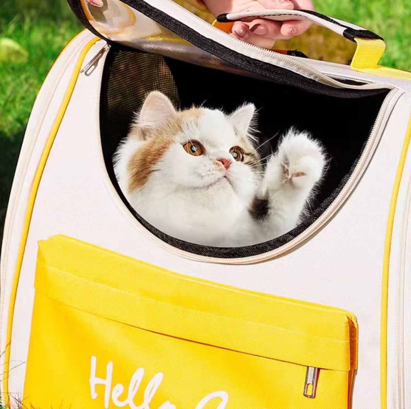 https://fulmo-img-server.com/carrineko/1785807503026_czgprxt4_o9ss4wdp.jpeg