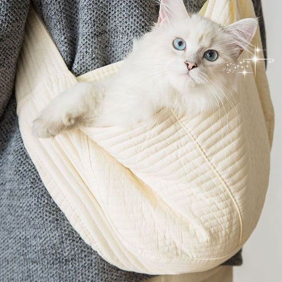 https://fulmo-img-server.com/carrineko/1785891587504_kv8lii4j_ms2lz387.jpeg