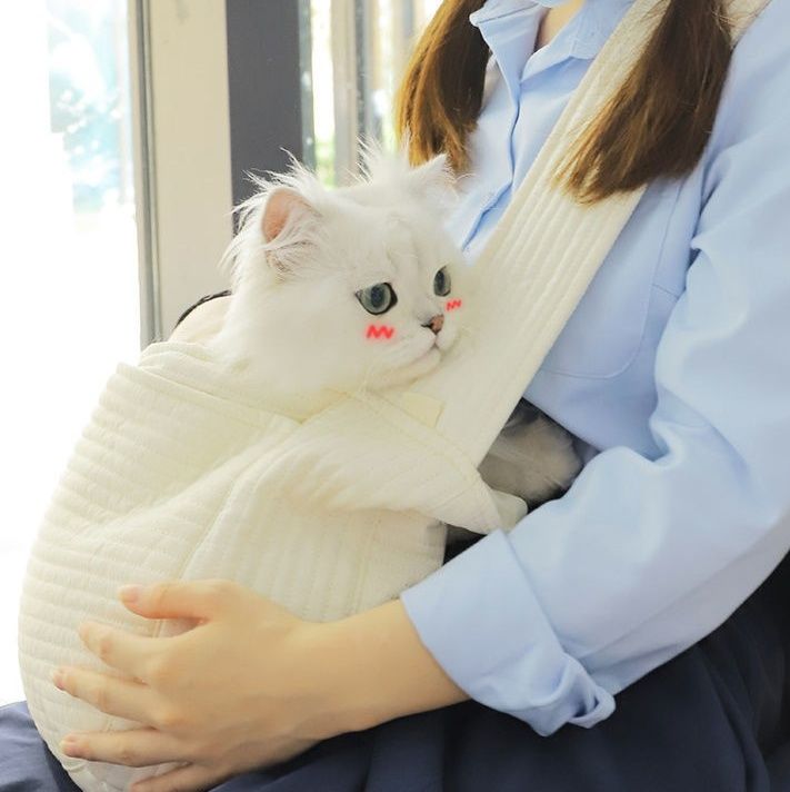 https://fulmo-img-server.com/carrineko/1785891626688_o3jskfgp_fsfmejrw.jpeg