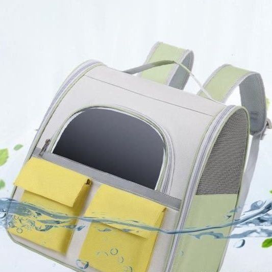 https://fulmo-img-server.com/carrineko/1785893816331_vflxw98g_5rkwtvyd.jpeg