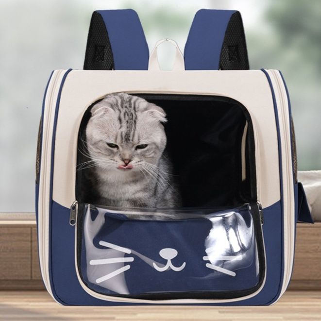 https://fulmo-img-server.com/carrineko/1785895110732_zzwjhtol_3845uq8u.jpeg