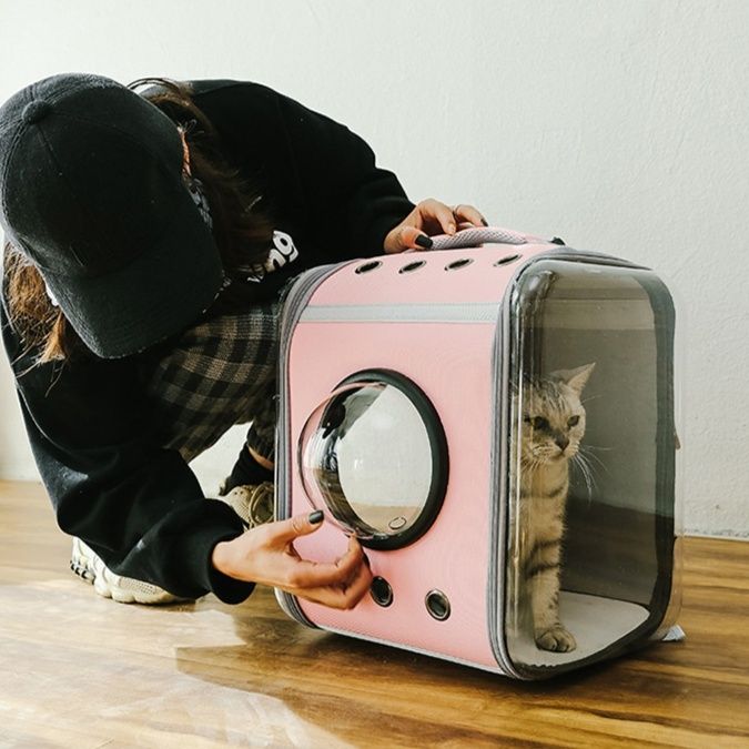 https://fulmo-img-server.com/carrineko/1785897224312_1i8jksec_386lrpzr.jpeg