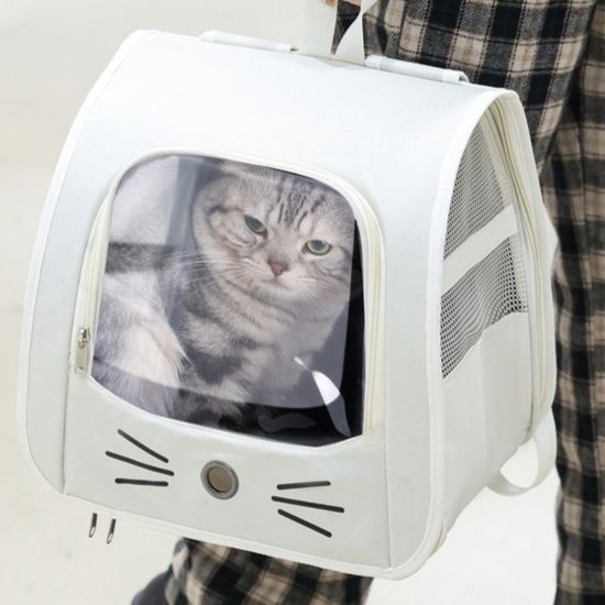 https://fulmo-img-server.com/carrineko/1785900700524_hp4pyvlp_gk0t0xv7.jpeg