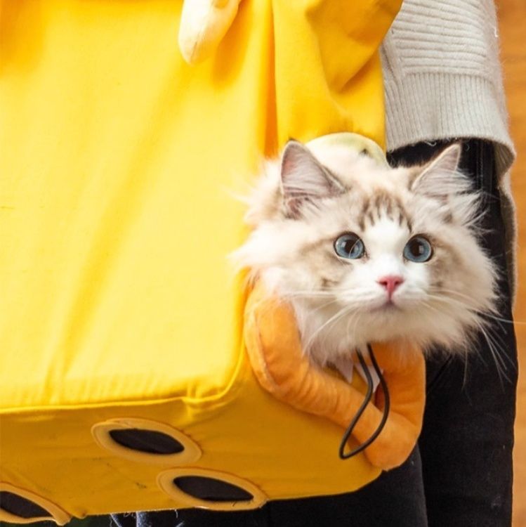 https://fulmo-img-server.com/carrineko/1788572555874_ifdixuw9_6obfw1sy.jpeg