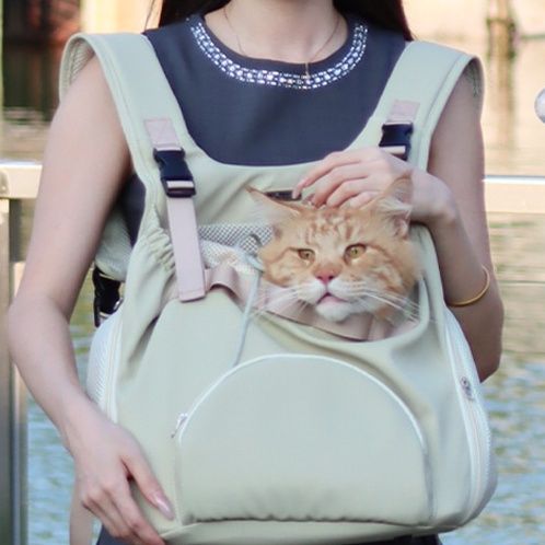 https://fulmo-img-server.com/carrineko/1791869246847_slzkw94h_kb6eqpey.jpeg