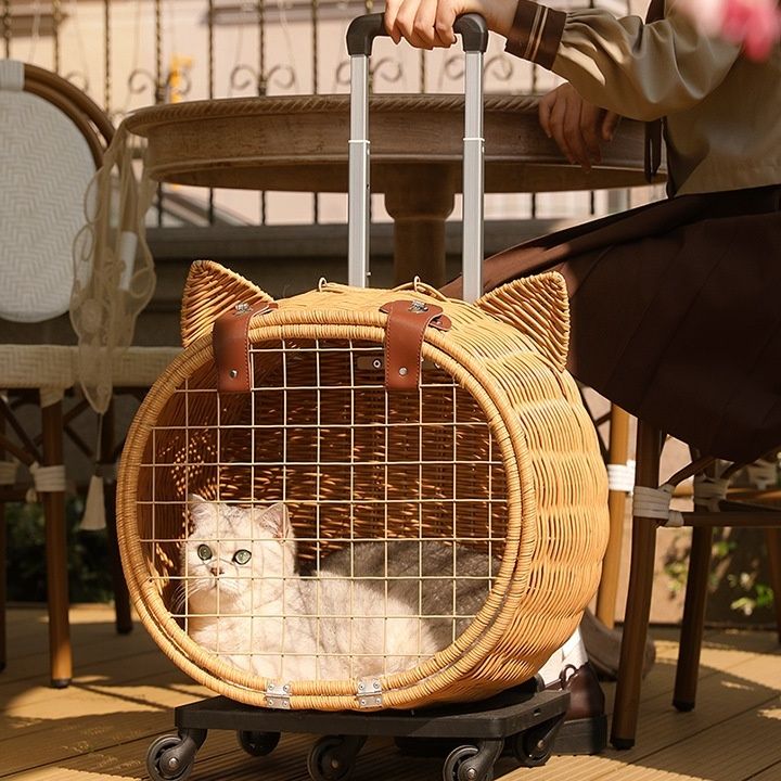 https://fulmo-img-server.com/carrineko/1791871033327_33dsffhb_0sg34kla.jpeg
