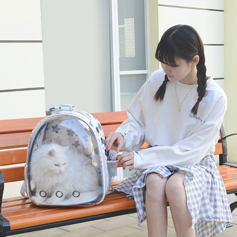 https://fulmo-img-server.com/carrineko/18daeead-ec0f-4f99-983f-45b33ea1929c.jpg