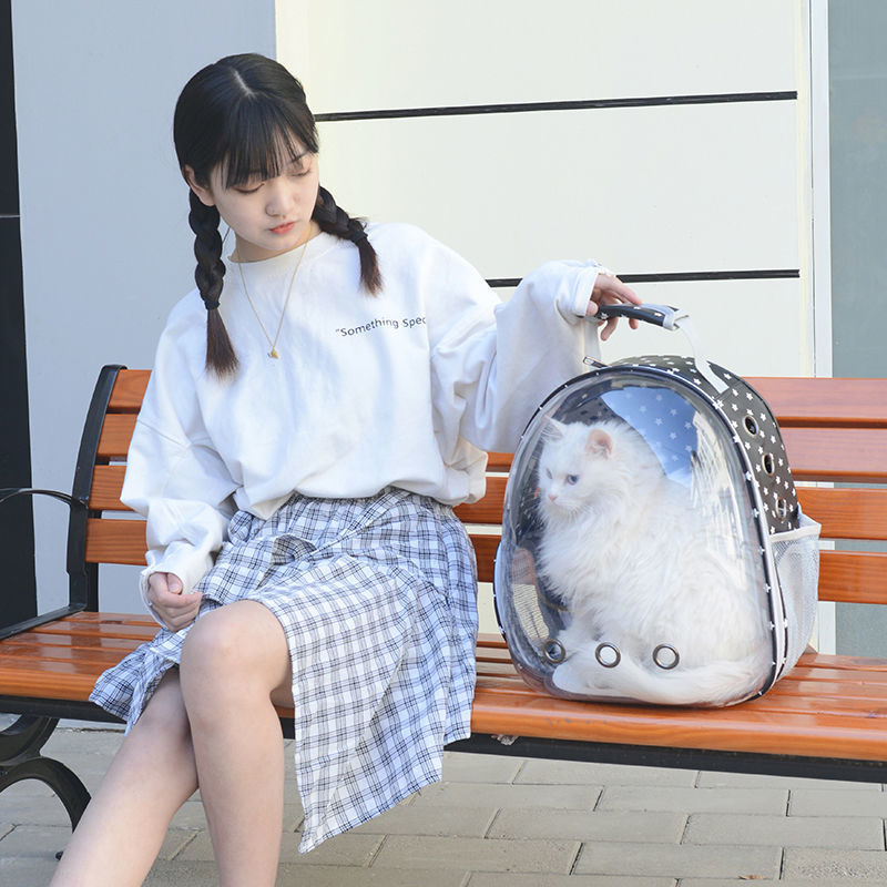https://fulmo-img-server.com/carrineko/4aa0270c-4bf5-4dca-931b-6101d8f66f47.jpg