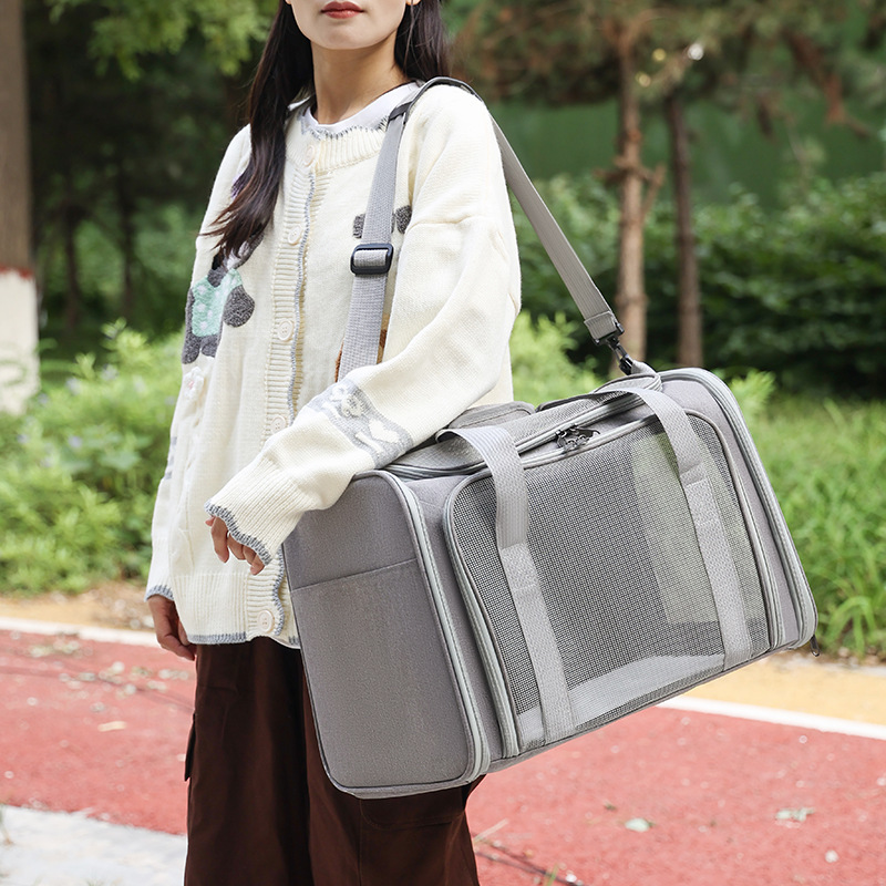 https://fulmo-img-server.com/carrineko/56e50ef4-8f56-4136-b77d-635019c51fb5.jpg