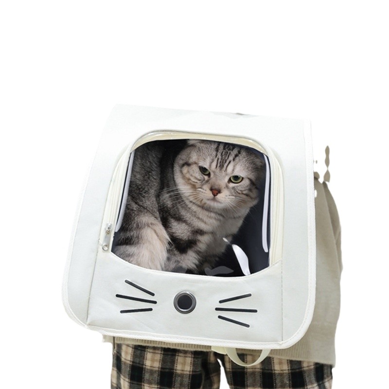 https://fulmo-img-server.com/carrineko/6cd5f48e-e7ae-4996-8383-6a05d67f962e.jpg