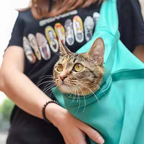 https://fulmo-img-server.com/carrineko/70a4be55-7693-4aac-970a-663df33d9dd5.jpg