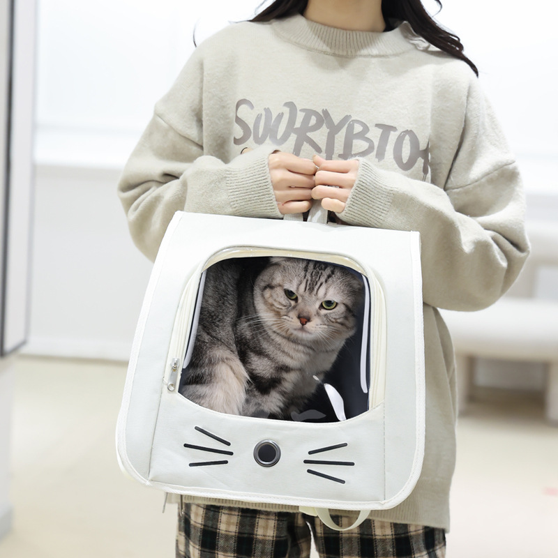https://fulmo-img-server.com/carrineko/94896fe5-6ed9-4f64-9292-66a7f80a7003.jpg