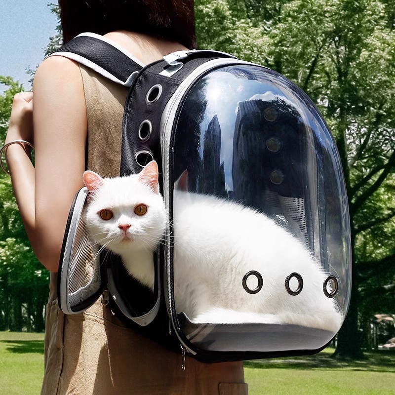 https://fulmo-img-server.com/carrineko/a8f085b2-0d6e-4d98-af4a-302766b6ab19.jpg