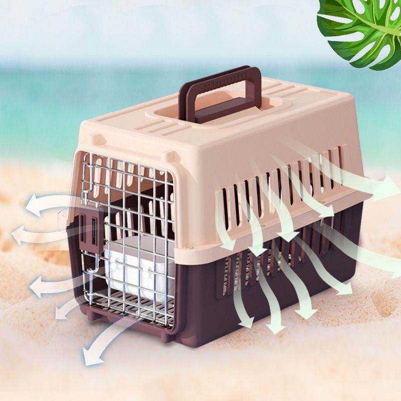 https://fulmo-img-server.com/carrineko/e09f5d67-e5a8-4f0e-9e79-3be60efcd94d.jpg