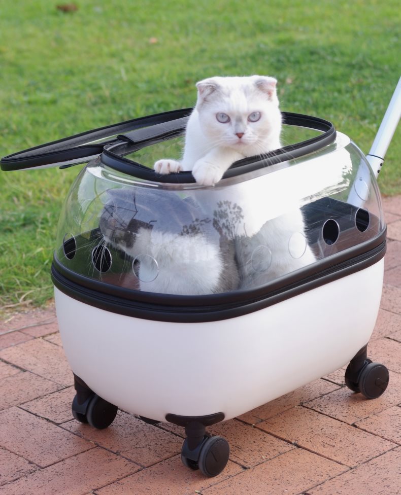 透明ドーム型キャスター付き猫用キャリーバッグ