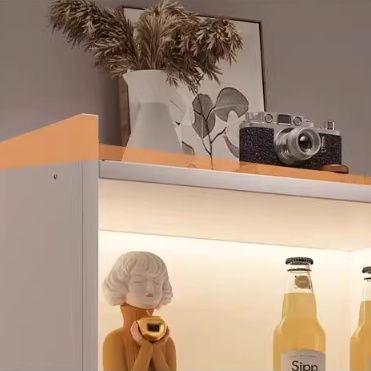 フィギュアケース 照明付き縦長コレクションケース