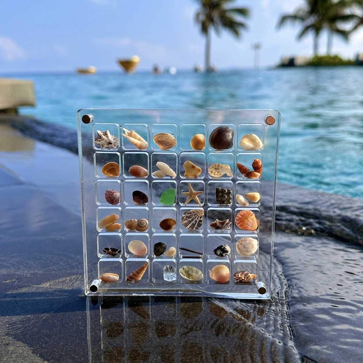 長年愛用できる小型コレクションケースで推しを永続的に美しく保護し長持ちする安心のおすすめ5選
