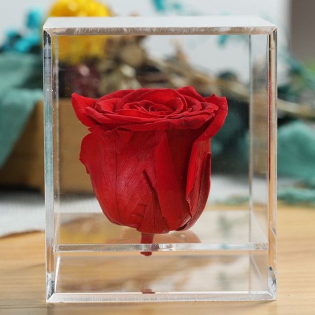 フィギュアケース 小型 透明立方体フィギュアケース