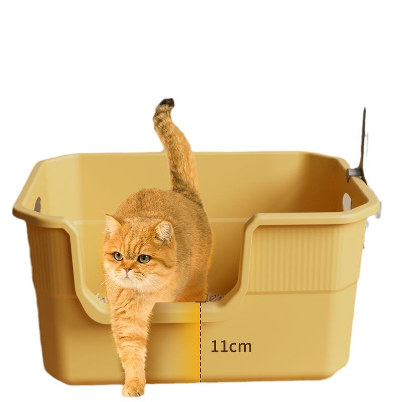 https://fulmo-img-server.com/catoily/033d7928-8213-419c-b064-ff1df20c9660.jpg