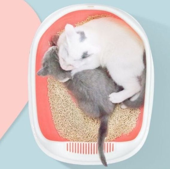 猫トイレ 子猫用開放式通気性抜群猫トイレ