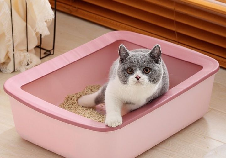 猫トイレ 子猫用シンプル設計オープン型猫トイレ