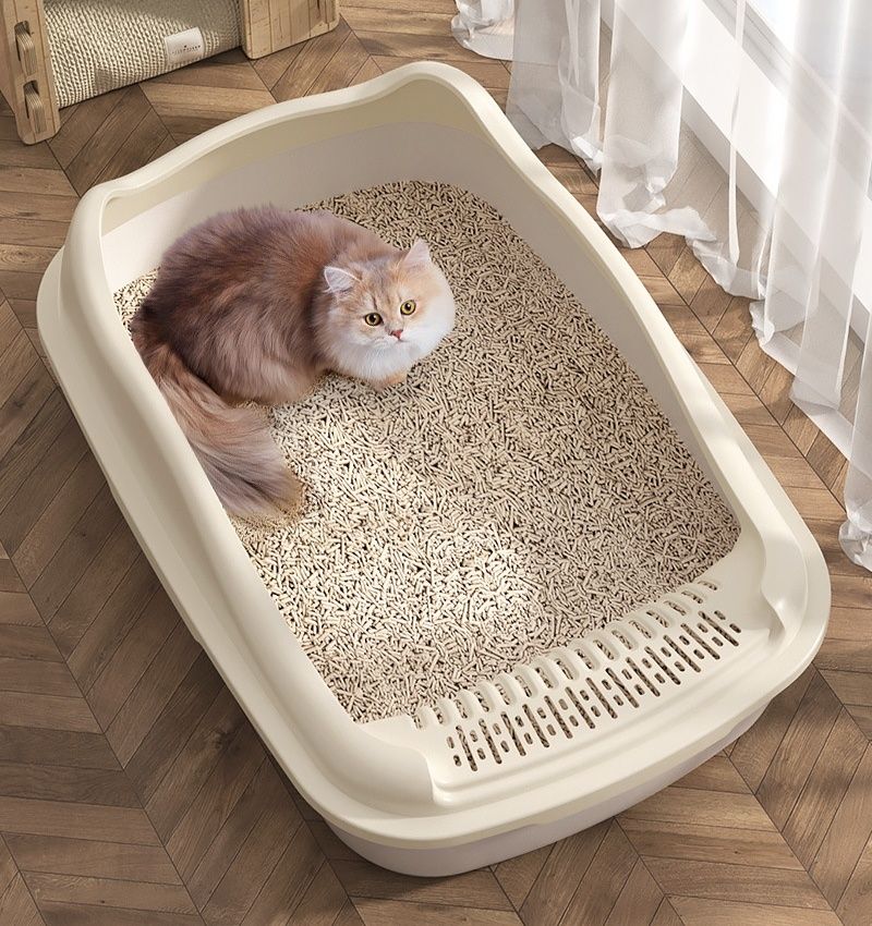https://fulmo-img-server.com/catoily/1779760556889_3c8oagl7_0cc3699i.jpeg