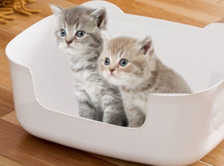 猫トイレ 側面開口式大容量猫トイレボックス