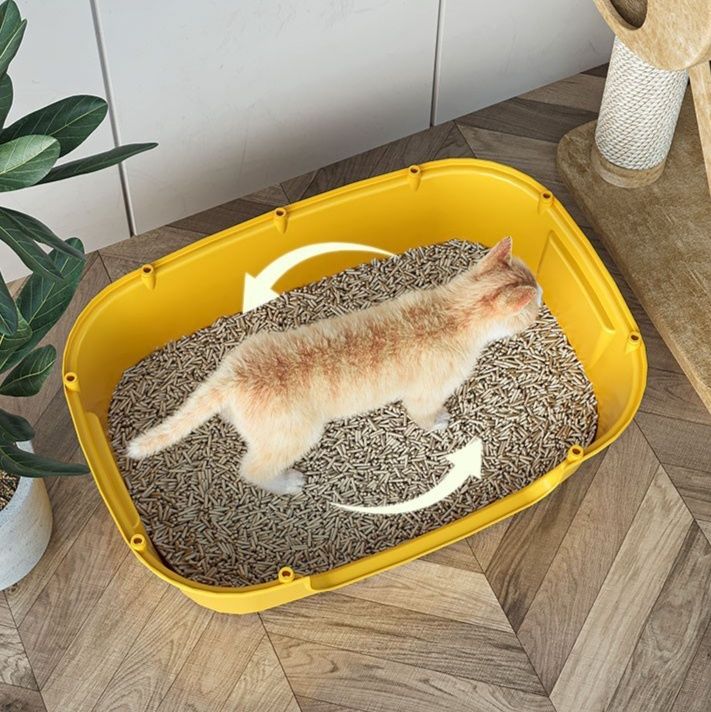 https://fulmo-img-server.com/catoily/1780029568749_av5t6xyg_vm9cvun8.jpeg