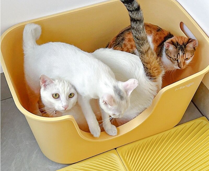 大型オープン猫トイレ 深型ワイド砂飛び散り防止 多頭飼い|猫トイレ