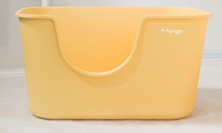 https://fulmo-img-server.com/catoily/1783265817555_brdwnb65_cbzj02l2.jpeg