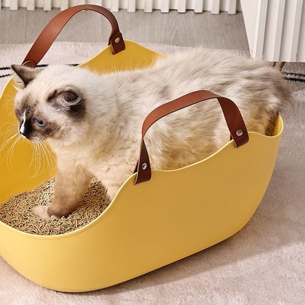 https://fulmo-img-server.com/catoily/1785374365243_dr3vy04k_j5fb7cti.jpeg