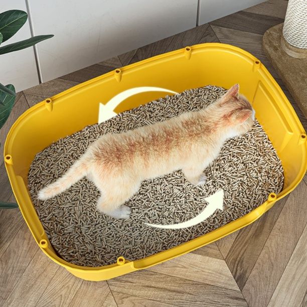 https://fulmo-img-server.com/catoily/1787881484728_uw5z8fmr_kutfacbt.jpeg