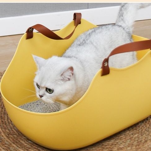 https://fulmo-img-server.com/catoily/1787884100075_s2w41nya_bcft6igh.jpeg