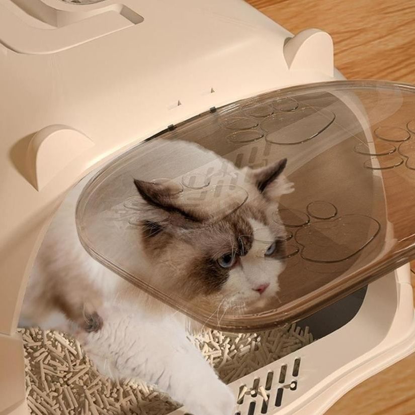https://fulmo-img-server.com/catoily/1790990767600_4zgbyz3h_enkg5pcl.jpeg