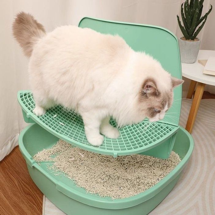 https://fulmo-img-server.com/catoily/1790992752073_62dosuic_vipvmsbk.jpeg