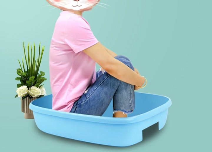 https://fulmo-img-server.com/catoily/1790993480793_osg69x9u_0h36iymv.jpeg