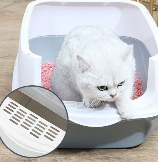 https://fulmo-img-server.com/catoily/1790993942520_09518ucj_velwqc7l.jpeg