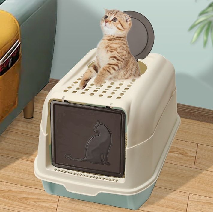 https://fulmo-img-server.com/catoily/1790997034748_curq33qd_3ivygqzf.jpeg