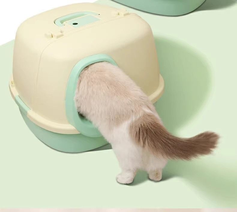 https://fulmo-img-server.com/catoily/2e6670af-87cd-4e07-8f30-ddfbee46fa25.jpg